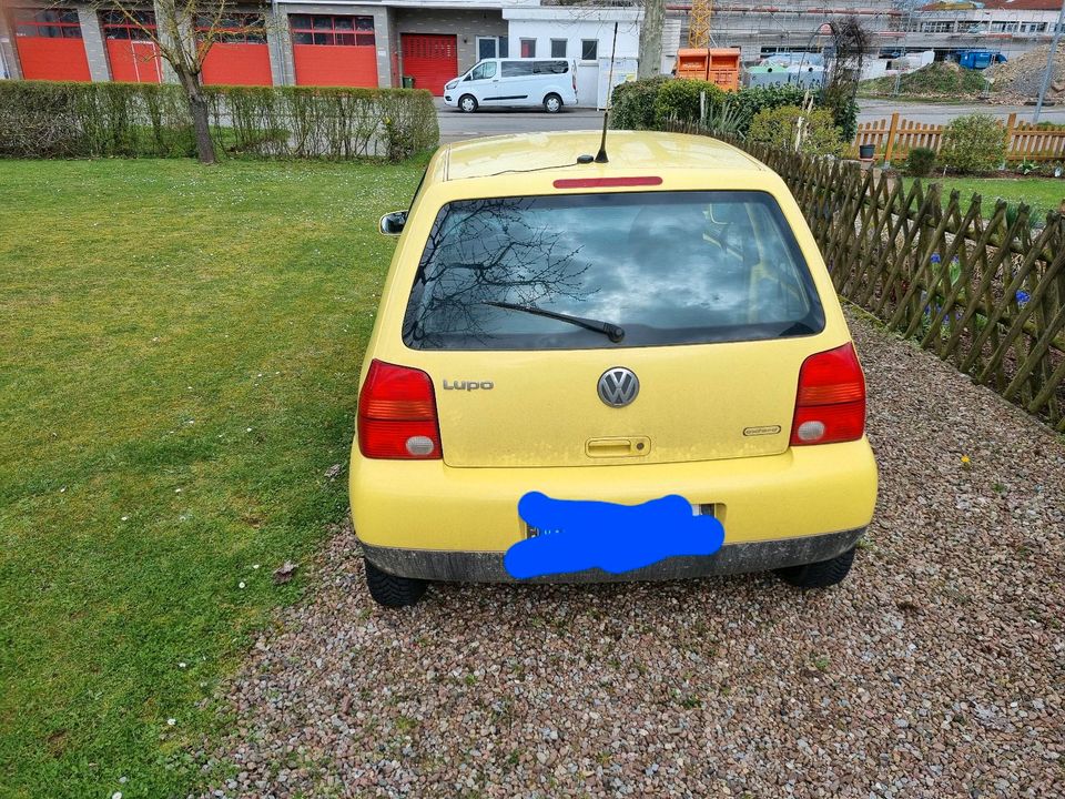 VW Lupo 1.0 College in Borgentreich