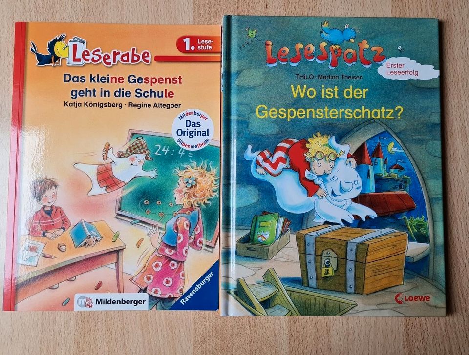 Gespenster - Bücher 1. Klasse in Annahütte