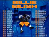 Ich suche 3× Tickets für billie eilish tour 2025 (Deutschland) Niedersachsen - Friesoythe Vorschau