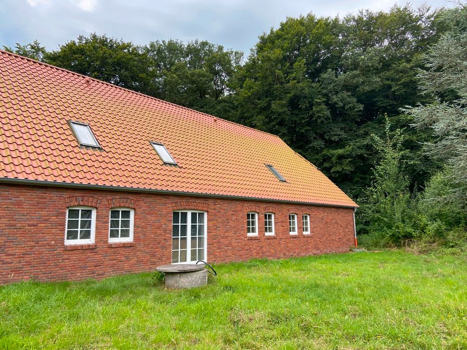 Wohnung in saniertem Resthof in Ganderkesee