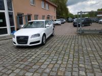 Audi A3 1.6 Attraction Rostock - Stadtmitte Vorschau