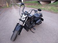 Sportster Custom Black Denim XL1200CB Rheinland-Pfalz - Nister Vorschau