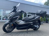 Honda Forza 350 Nordrhein-Westfalen - Hückeswagen Vorschau