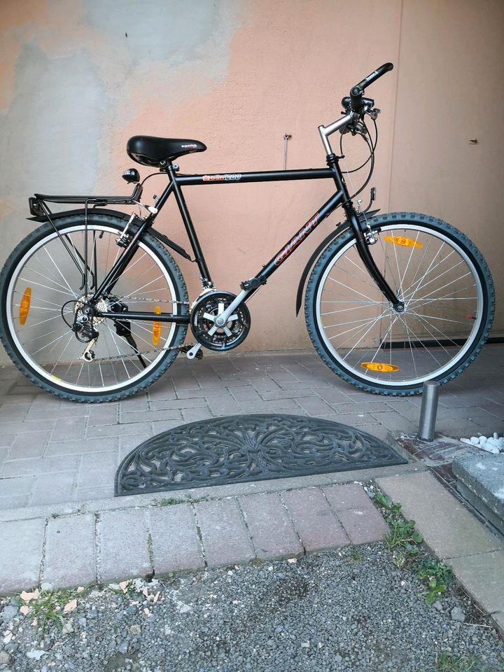 Giant GSR 200 MTB Fahrrad in Oberdürenbach