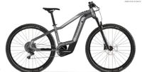 Haibike AllTrack 9 Matt Silver Bayern - Otterfing Vorschau