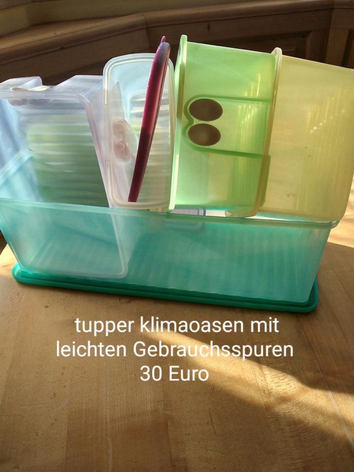 Tupperware Artikel in Böhmfeld