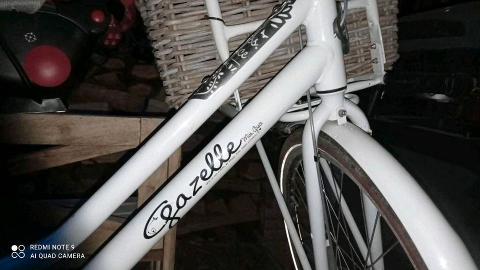 Fahrrad Miss Grace Gazelle 7 Gänge Hollandfahrrad Lastenfahrrad in Ratzeburg