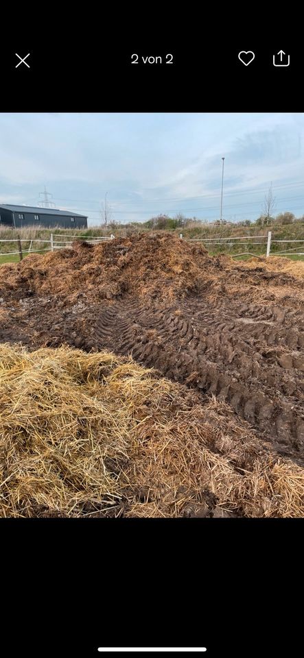 Pferdemist zu verschenken in Schifferstadt