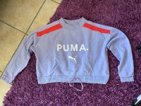 Puma Pulli Nordrhein-Westfalen - Weilerswist Vorschau