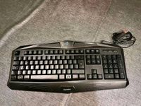 Gaming Tastatur mit Maus Nordrhein-Westfalen - Rheine Vorschau