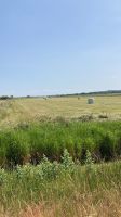 Heu Heulage für Pferde Niedersachsen - Osterholz-Scharmbeck Vorschau