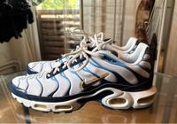 Nike Air Max Plus TN Marine Weiss 46 Hamburg - Altona Vorschau