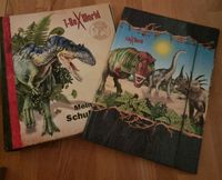Dinosaurier, t-rex, dino, Spiegelburg Neu Hessen - Linsengericht Vorschau