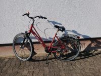 Citybike Damenfahrrad BOC Bocas Bielefeld - Heepen Vorschau