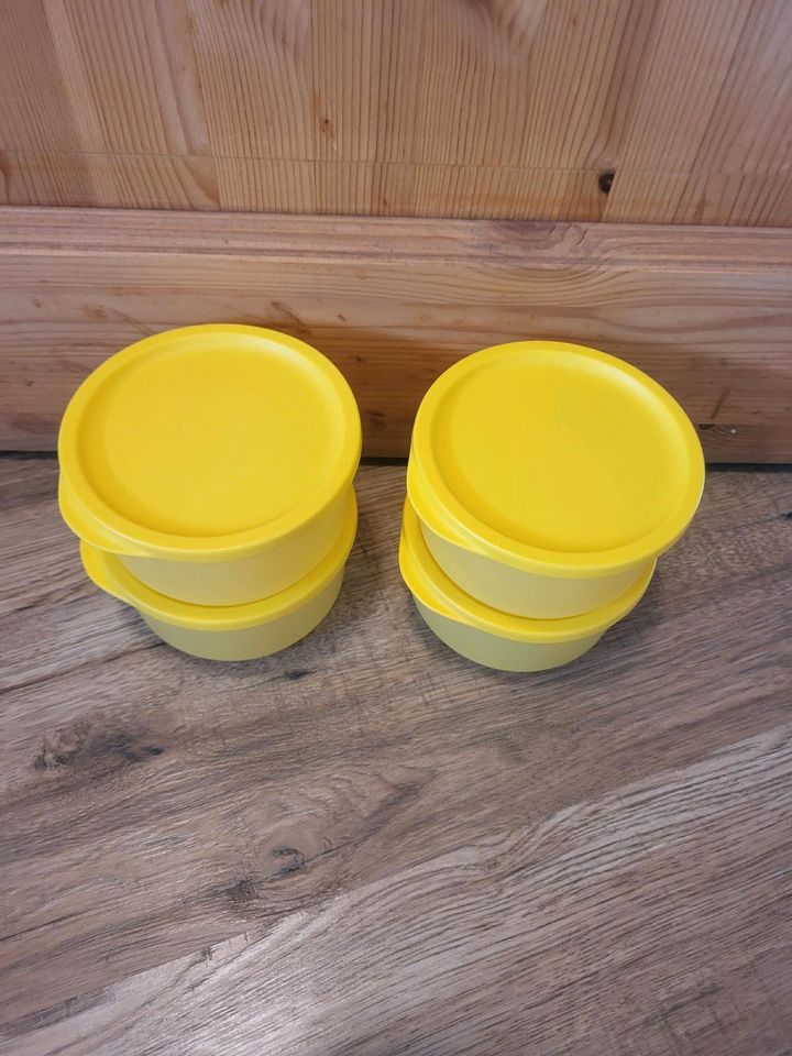 Tupperware 4 x Frische Runde,  Sonnenschein in Stadland