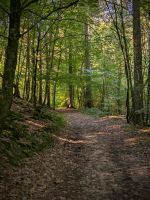 Suche Wiese/ Land zu pachten Saarbrücken-Halberg - Güdingen Vorschau