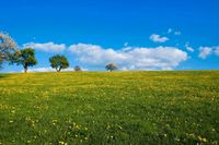 Suche landwirtschaftliche Flächen zum Kauf in 63867 Bayern - Johannesberg Vorschau