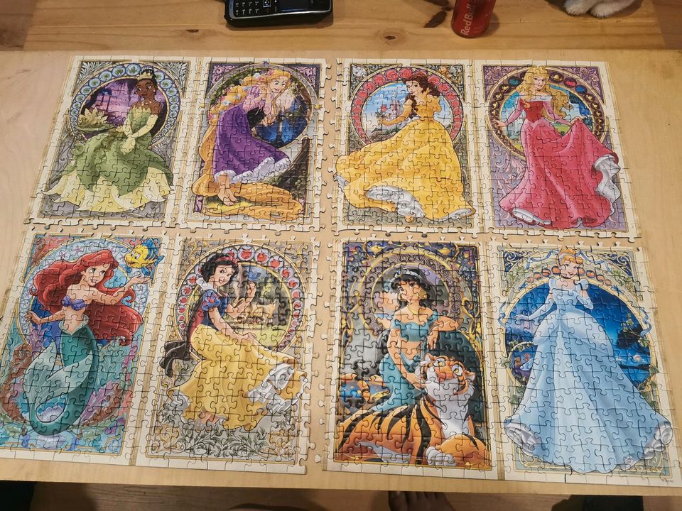 1000 Teile Puzzle  Disney Princess in Trautskirchen