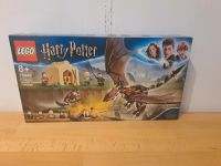 LEGO Harry Potter 75946 Hungarian Horntail Triwizard  Challenge Wandsbek - Hamburg Bergstedt Vorschau