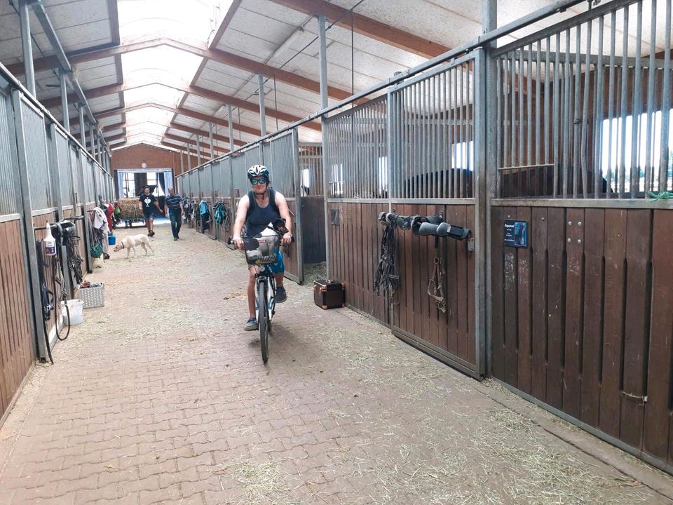 Pferdeboxen in Welzheim
