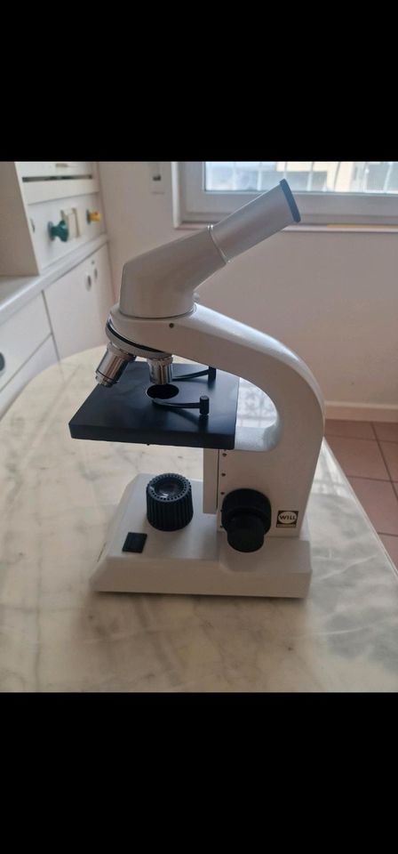 Mikroskop / Will Wetzlar in Singhofen