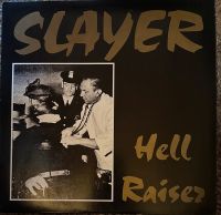Slayer vinyl Schleswig-Holstein - Mohrkirch Vorschau