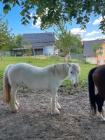 Pferd zu verkaufen Nordrhein-Westfalen - Gummersbach Vorschau