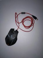 Maus mit USB Kabel Leipzig - Kleinzschocher Vorschau