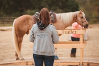 Vermietung von mobilen Trail-Hindernissen mit und ohne Unterricht Nordrhein-Westfalen - Dülmen Vorschau