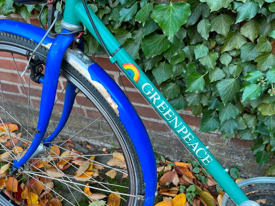 Öko Kult Fahrrad Greenpeace Herren 80er in Hannover