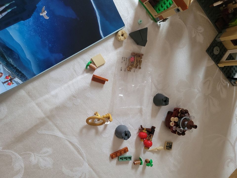 Lego Harry Potter 75969 Astronomieturm in Stolberg (Rhld)