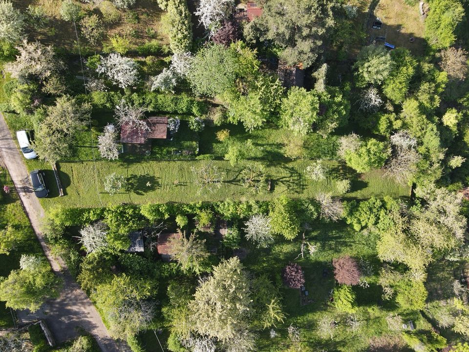 Gepflegte Obstwiese über Untertürkheim (Heidenwengert) in Stuttgart