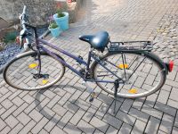 Specialized Fahrrad 28 Zoll Hessen - Kalbach Vorschau