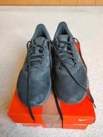 NIKE Laufschuh DOWNSHIFTER 11 Sachsen - Schildau Vorschau