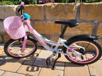 Kinderfahrrad Mädchen 16 Zoll Dresden - Klotzsche Vorschau