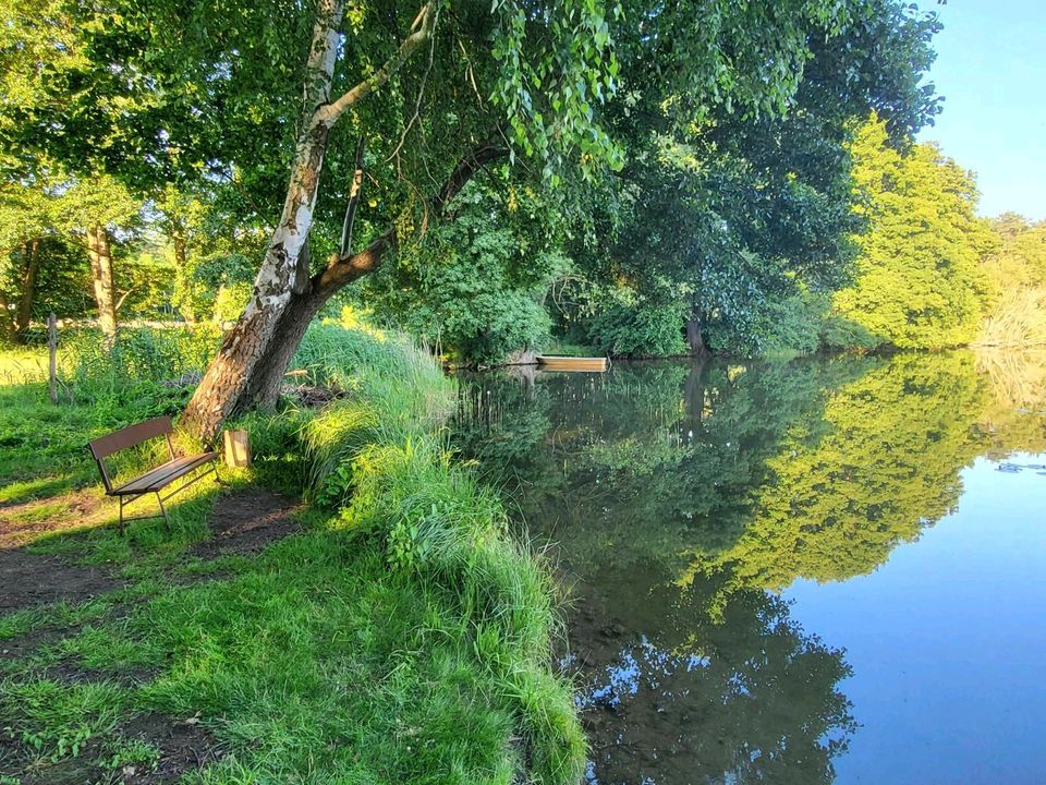 Ferienhaus Ferienwohnung Brandenburg Feldberger Seenlandschaft in Lychen