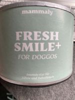 FRESH SMILE mammaly Intensiv Kur für Zähne und Zahnfleisch Hund Dortmund - Dorstfeld Vorschau