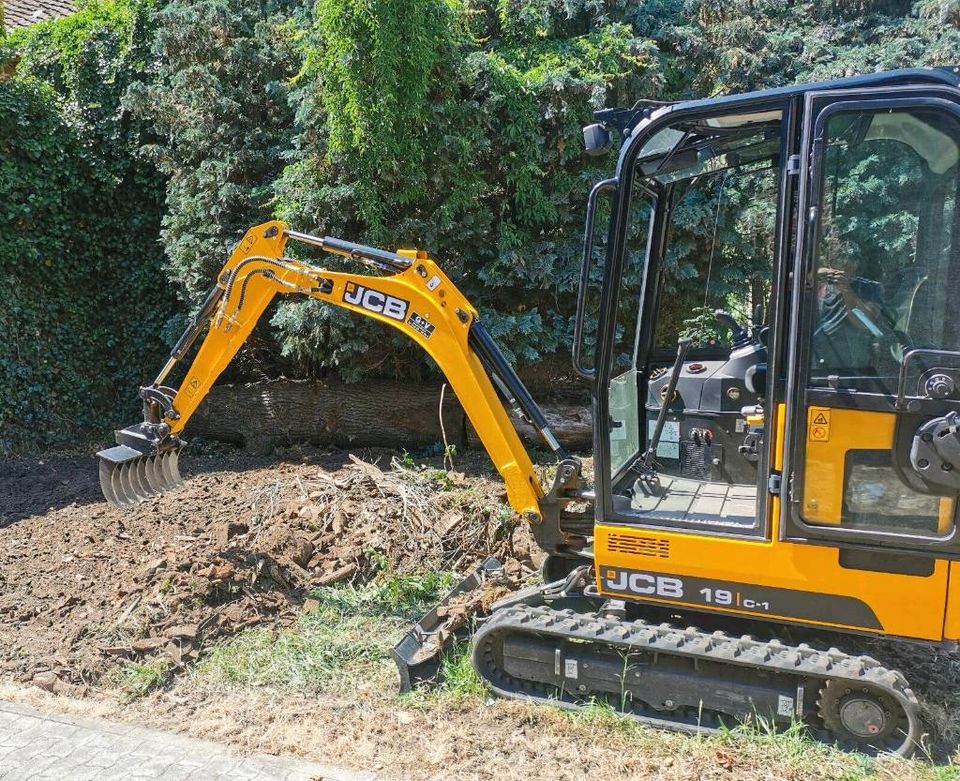 Minibagger JCB 19C1 mieten leihen in Everingen