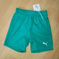 PUMA TeamGOAL 23 Knit Trainingsshort Pepper Green (neu) Hannover - Kirchrode-Bemerode-Wülferode Vorschau