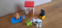 LEGO duplo "Tierkinder" Wuppertal - Elberfeld Vorschau