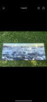 Acrylglas Wandbild Strand  Lavastein Meer Sonnenuntergang 126x50 Bayern - Weßling Vorschau