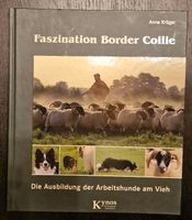 Faszination Border Collie Anne Krüger Buch Hüten Ausbildung Rheinland-Pfalz - Kerpen (Eifel) Vorschau