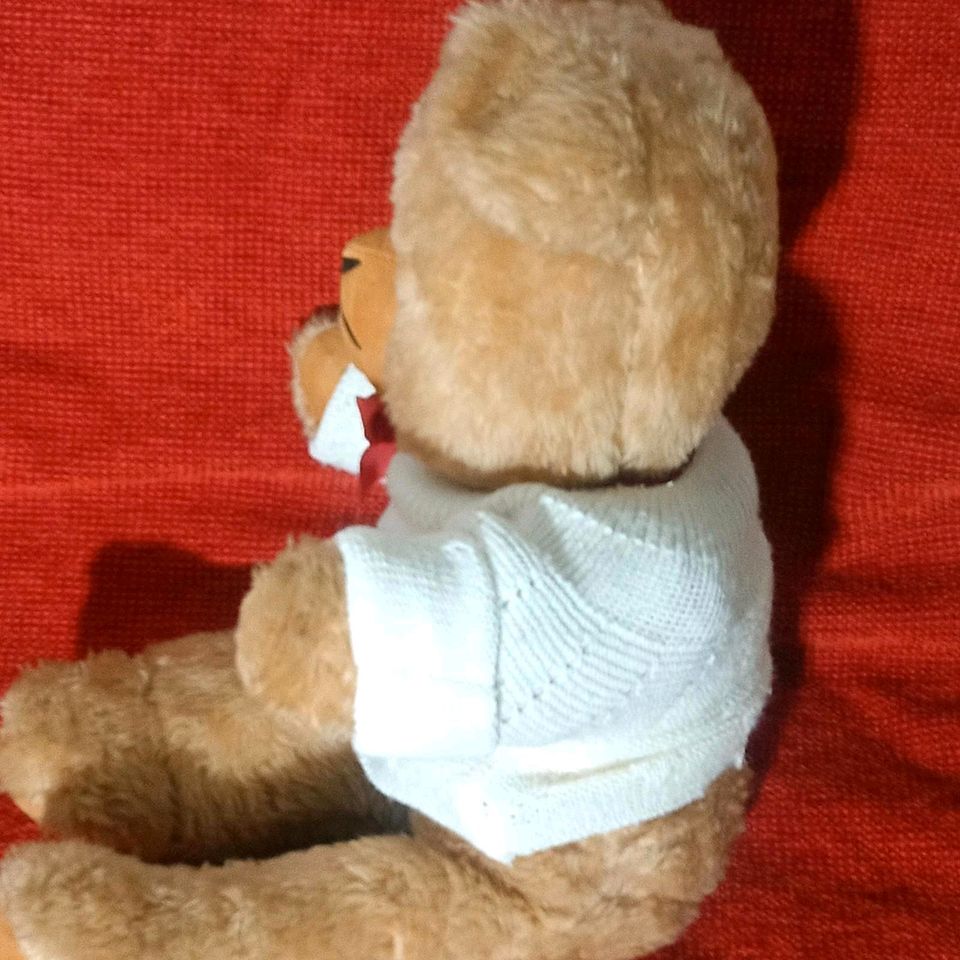 Großer, alter Kirmesbär Teddybär 60er/70er Jahre in Bad Salzuflen