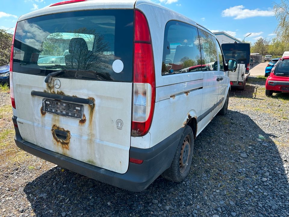 Mercedes Vito 109 CDI Bj:2005 Schlachtfest in Klostermansfeld