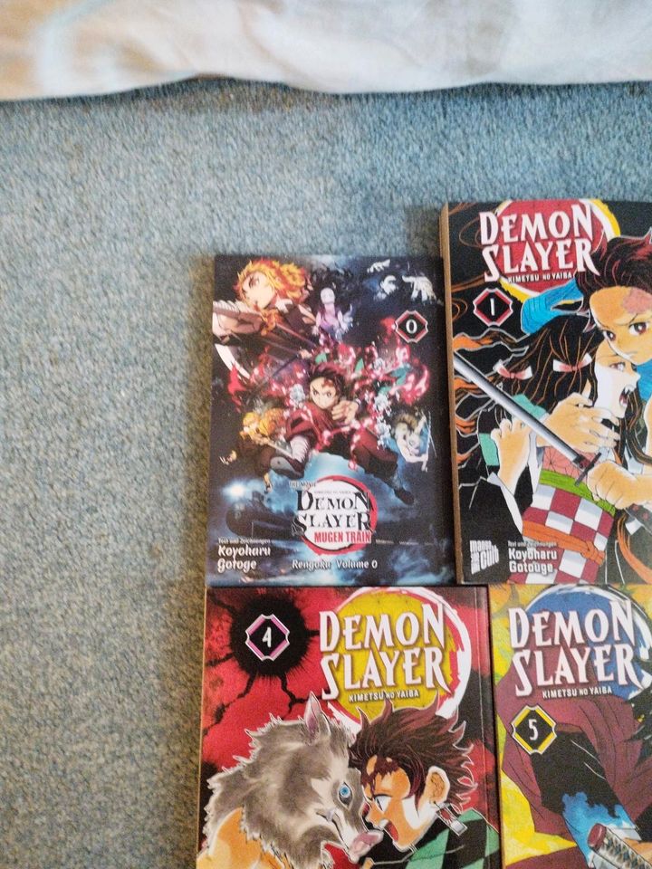 DEMON SLAYER Mangas 0-8 in Eggersdorf