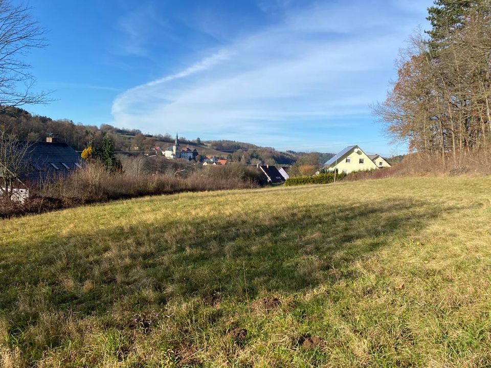 Ländliche Idylle - großzügiges Grundstück mit Wiese und Wald in Kirchleus in Kulmbach