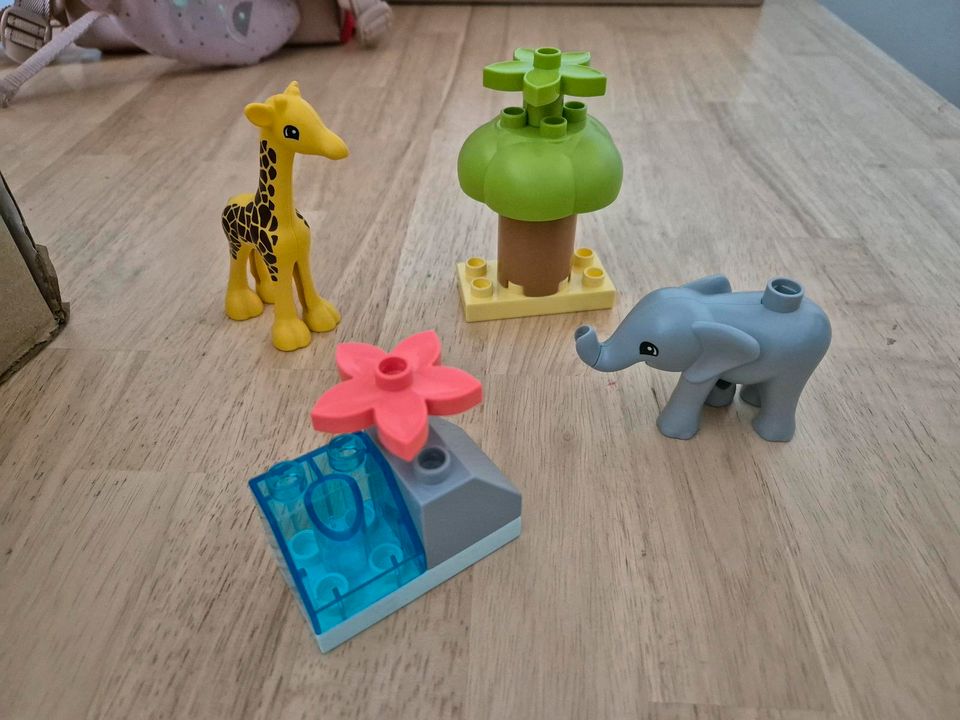 Lego Duplo Wilde Tiere Afrikas in Riedstadt