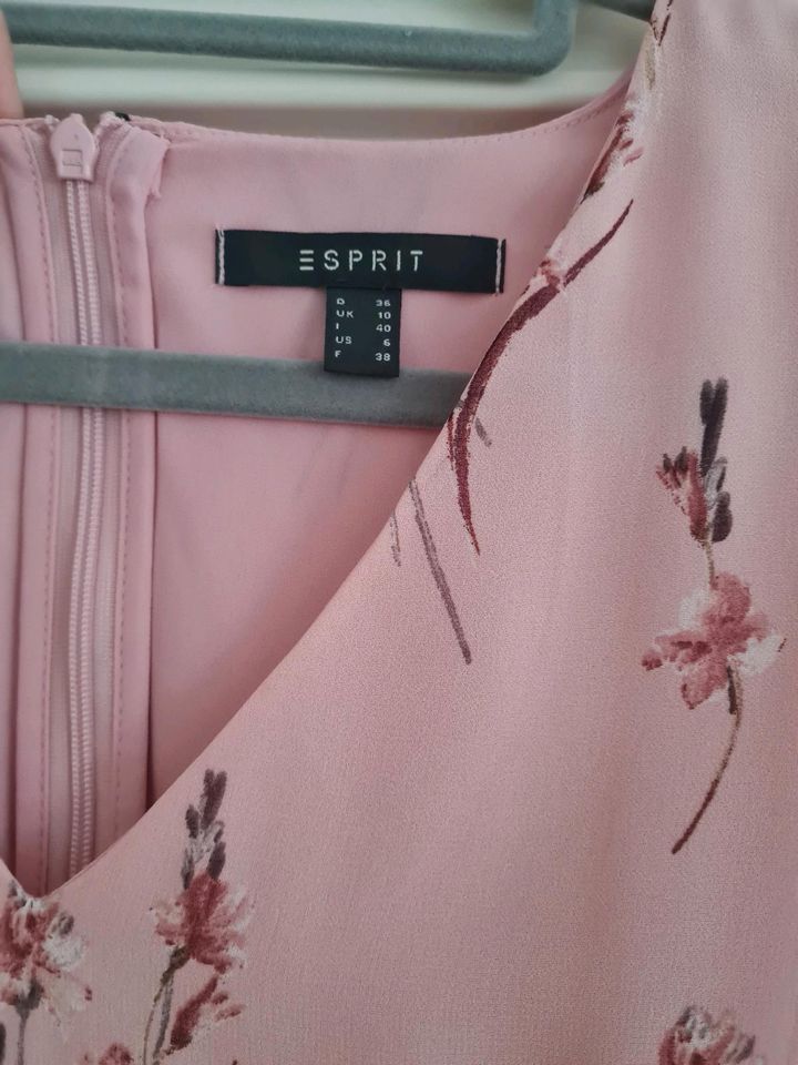 Esprit Kleid Gr 36 Neu in Konstanz