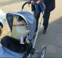 Kinderwagen Buggy mit Zubehör Bielefeld - Bielefeld (Innenstadt) Vorschau