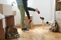 40 Plus Neubau Aktion vom Energiespar-Spezialisten! Hessen - Bad Vilbel Vorschau